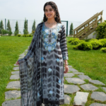 Aari Zari Georgett Suit