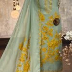 Twil Organza kurta & dupatta