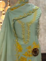 Twil Organza kurta & dupatta - Image 2