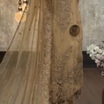 Embroidered Organza silk kurta & dupatta