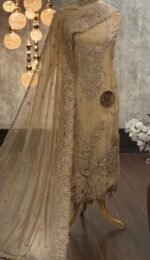 Embroidered Organza silk kurta & dupatta