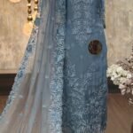 Embroidered Organza silk kurta & dupatta