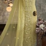 Georgette embroidered Luckhnavi