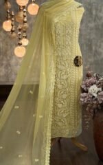 Georgette embroidered Luckhnavi - Image 4