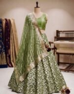 Khimkhwab Fabric with Georgette Dupatta - Image 3