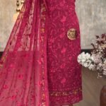Georgette organza with Parsi embroidery