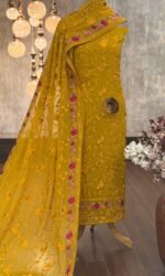 Georgette organza with Parsi embroidery