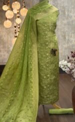 Pure viscose satin organza kurta & dupatta - Image 3