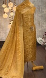 Pure viscose satin organza kurta & dupatta