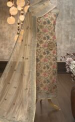 Tissue organza kurta & dupatta