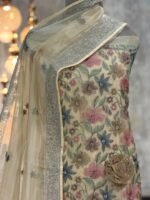 Tissue organza kurta & dupatta - Image 2