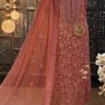 Georgette embroidered Luckhnavi kurta  with pearl work
