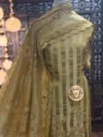 Satin zari lining kurta and tissue border - Image 2